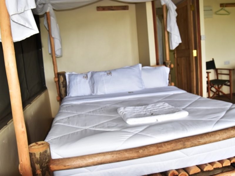 Double Single Room