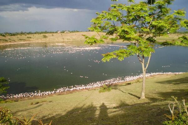 Ruma River Lodge Attractions Lake Simbi